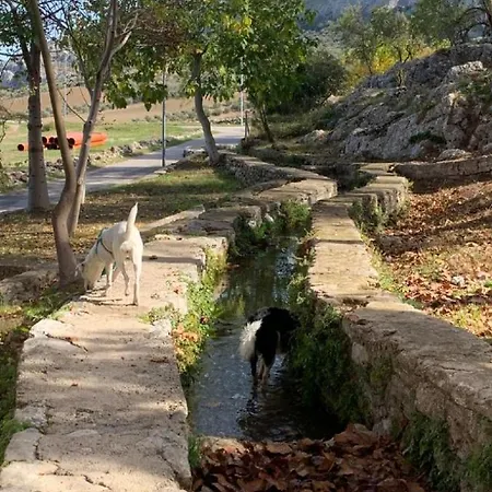Remedios Tatil Evi