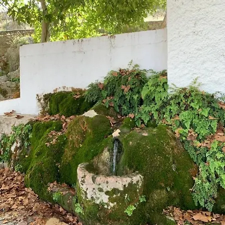Holiday home Remedios Cuevas del Becerro